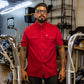 Hales Blue Collar Short Sleeve Shirt in Cardinal Red