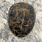Alfonso d’Este John cap 52422 showing distressed black and tan leather crown panels