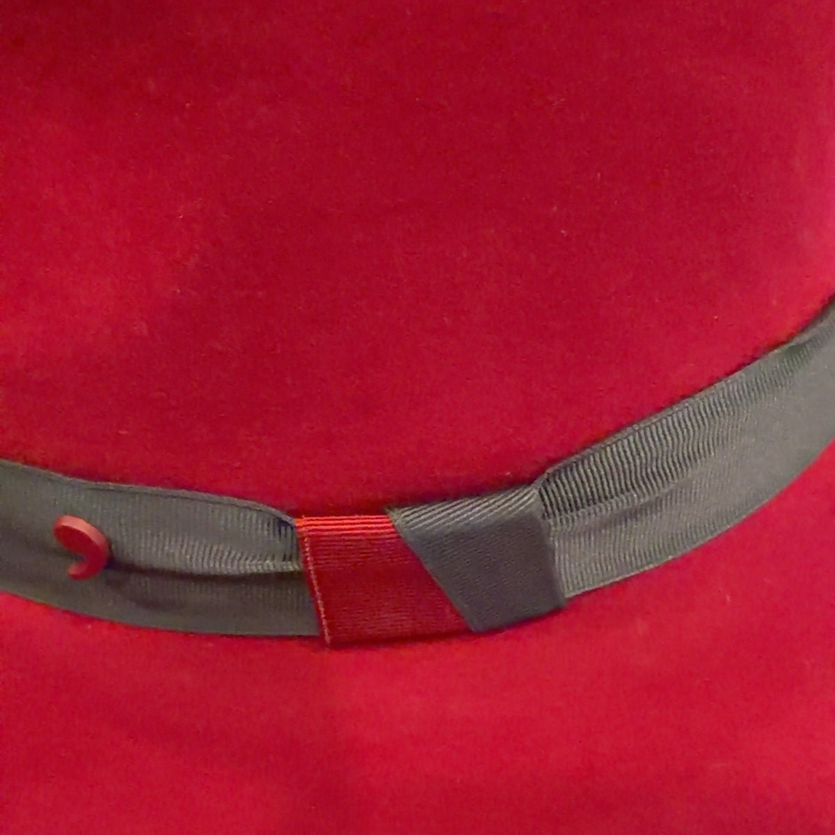 Detail of gray ribbon with red accent and Alfonso D’Este emblem