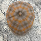 Alfonso D'Este orange and taupe plaid Napoli newsboy cap 52924, top view